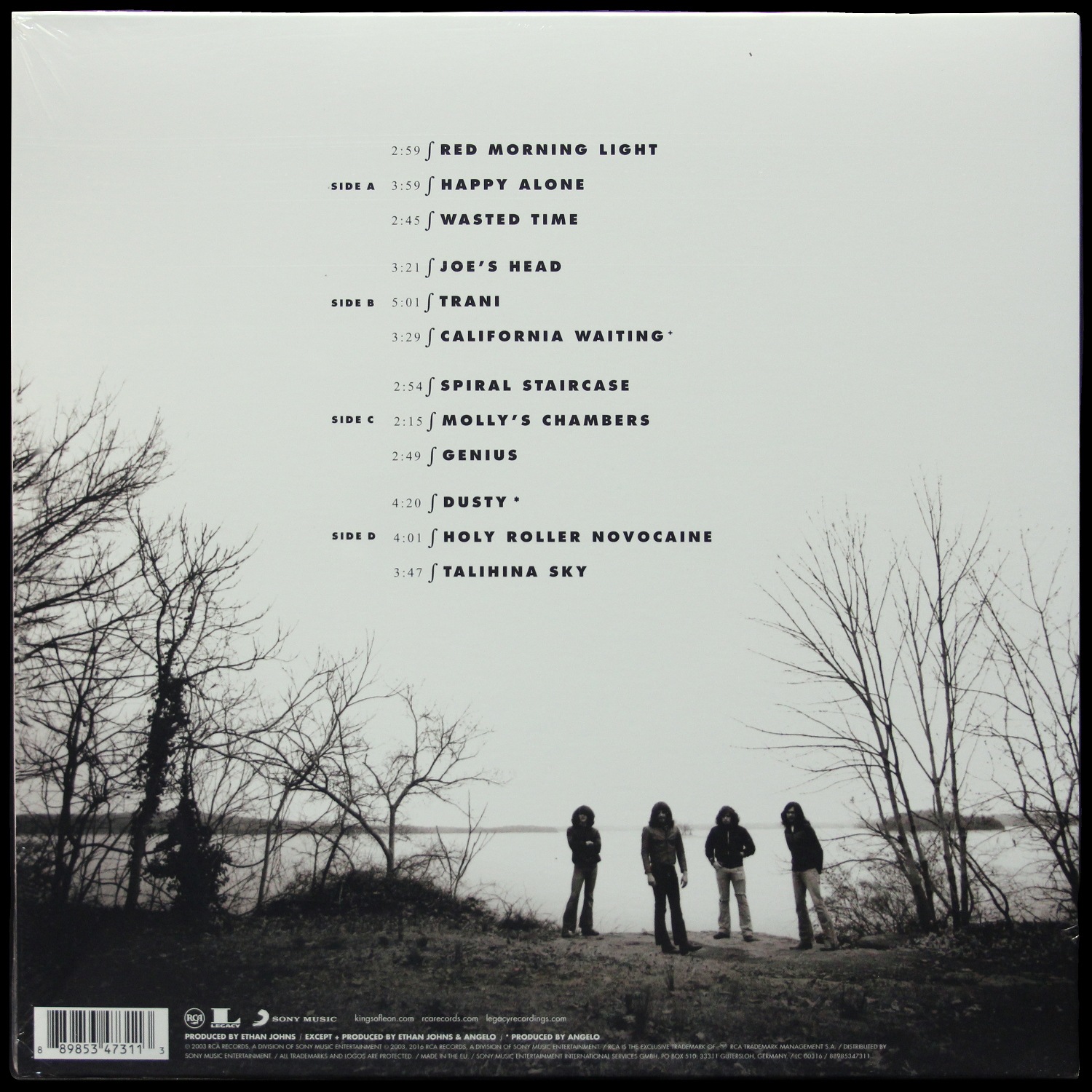 LP Kings Of Leon — Youth & Young Manhood (2LP) фото 2