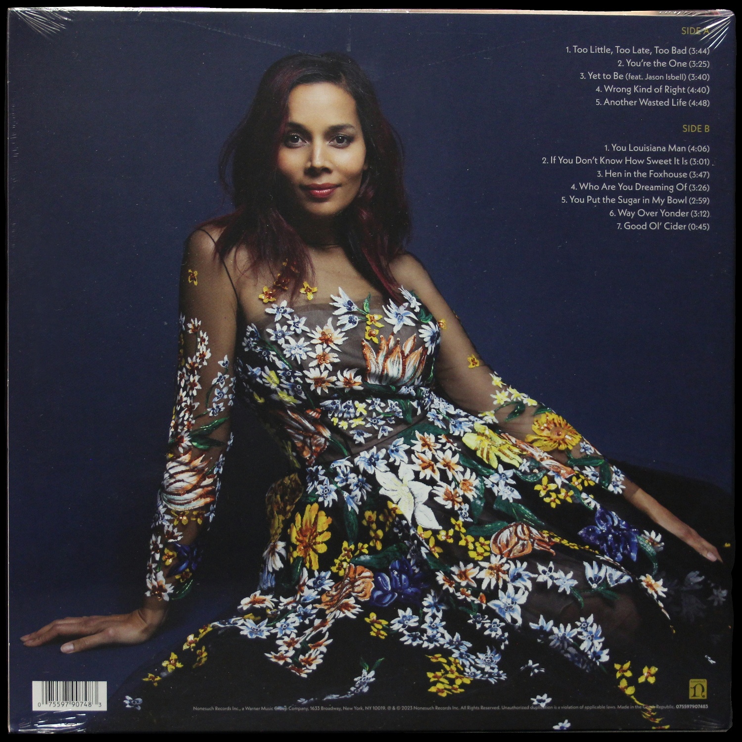 LP Rhiannon Giddens — You're The One фото 2