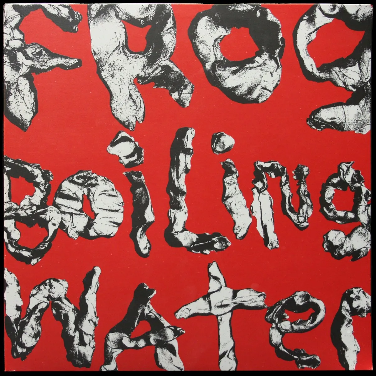 LP DIIV — Frog In Boiling Water (+ буклет) фото