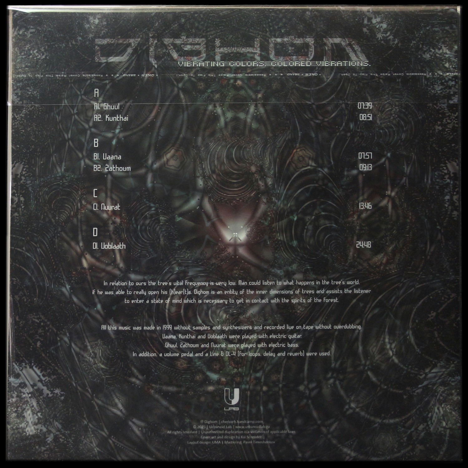 LP Dighom — Vibrating Colors - Colored Vibrations фото 2