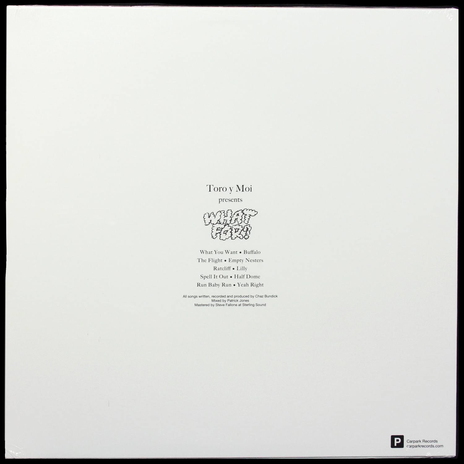 LP Toro Y Moi — What For? фото 2