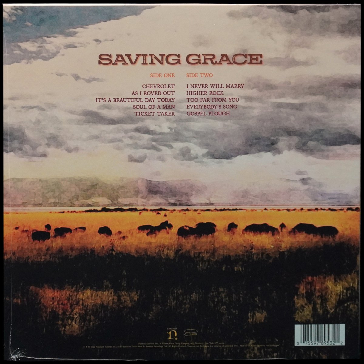 LP Robert Plant — Saving Grace (цветной винил) фото 2