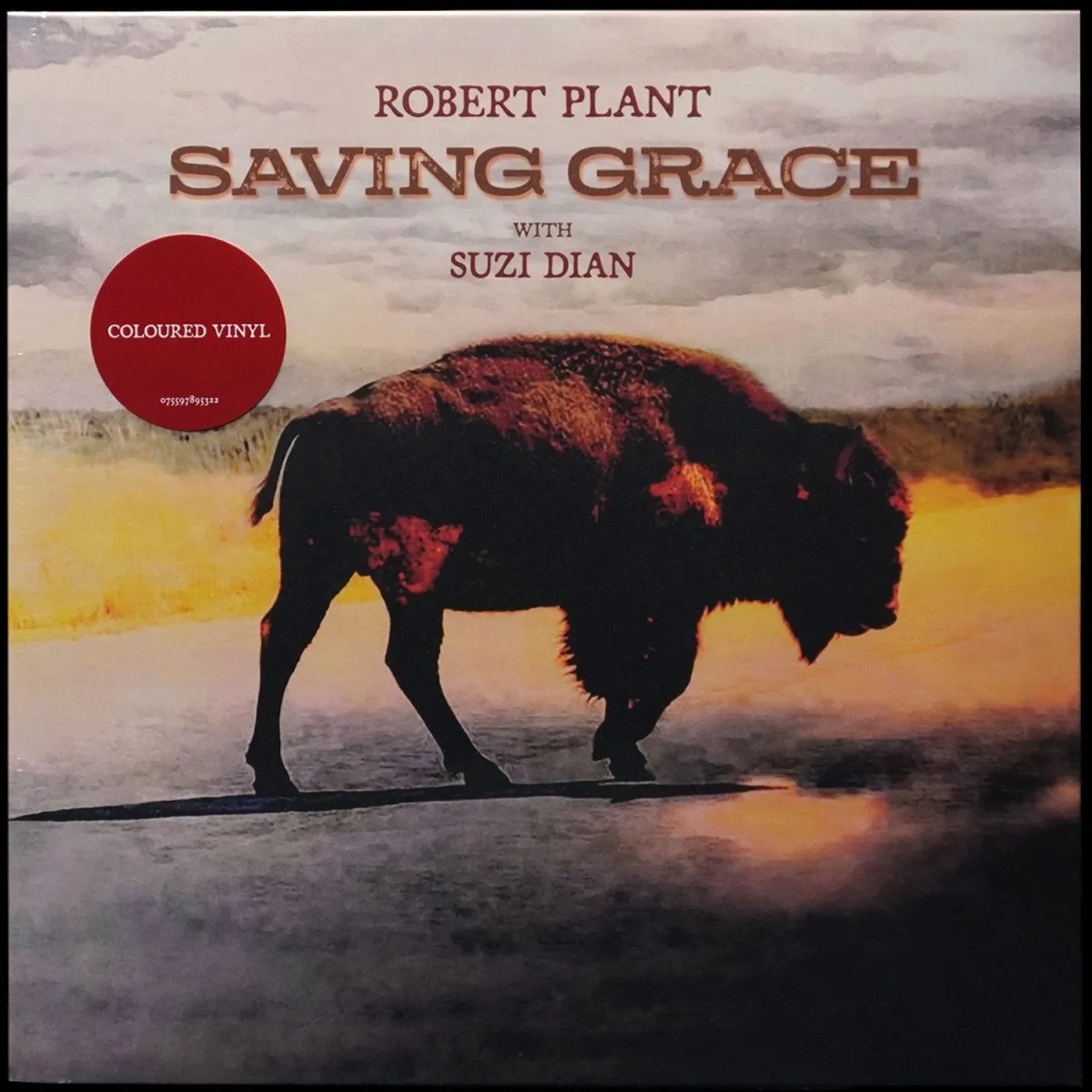 LP Robert Plant — Saving Grace (цветной винил) фото