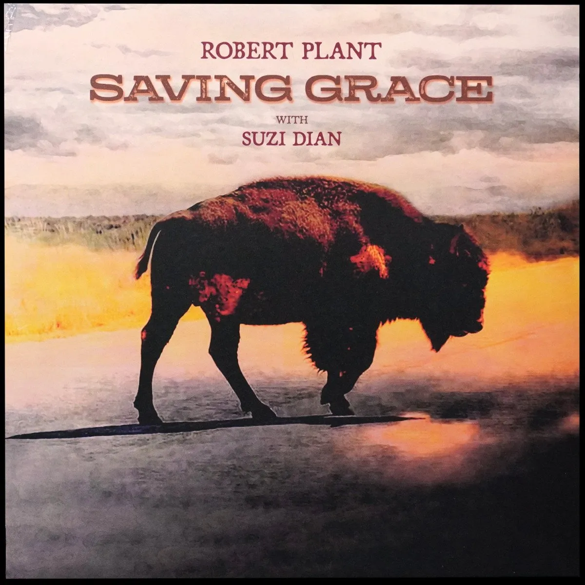 LP Robert Plant — Saving Grace фото