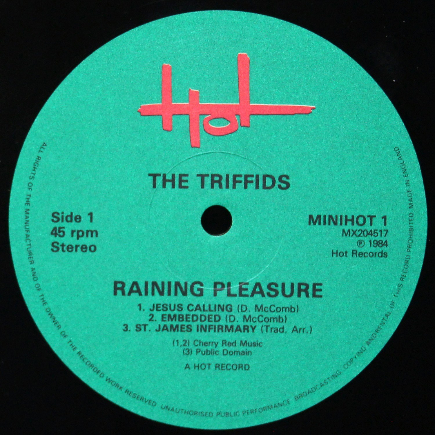 LP Triffids — Raining Pleasure (макси сингл) фото 3