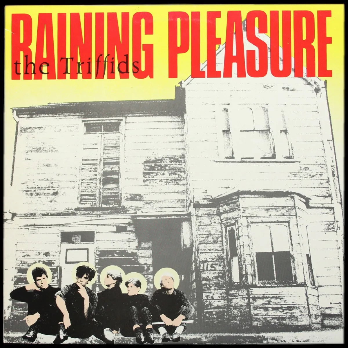 LP Triffids — Raining Pleasure (макси сингл) фото