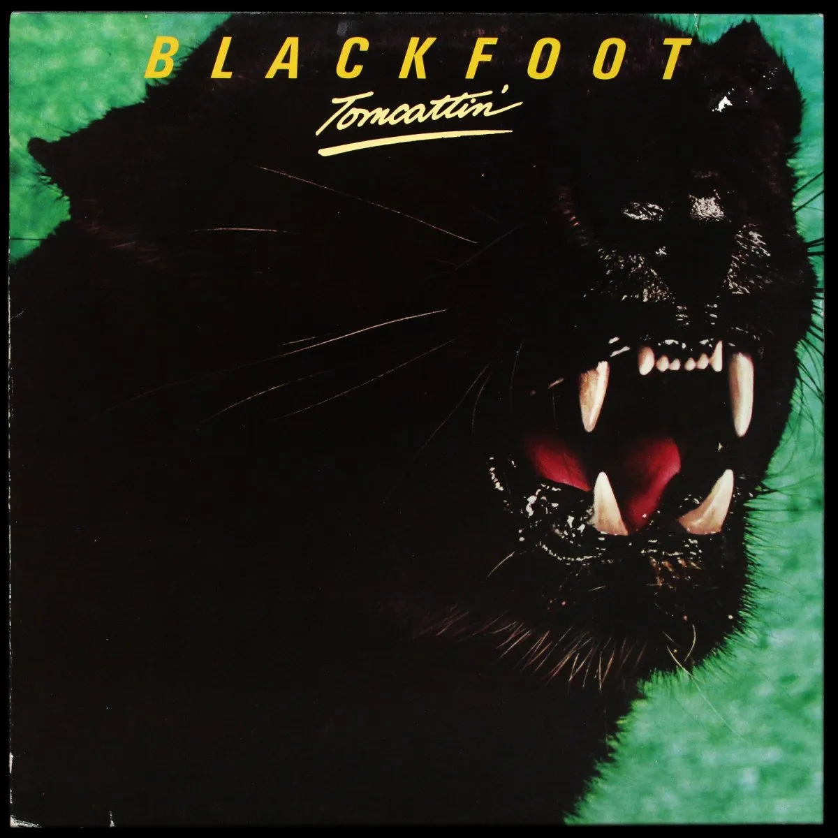 LP Blackfoot — Tomcattin' фото