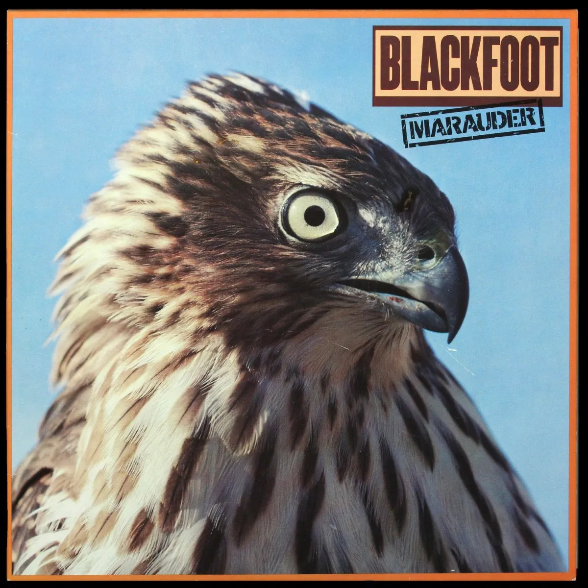 LP Blackfoot — Marauder фото