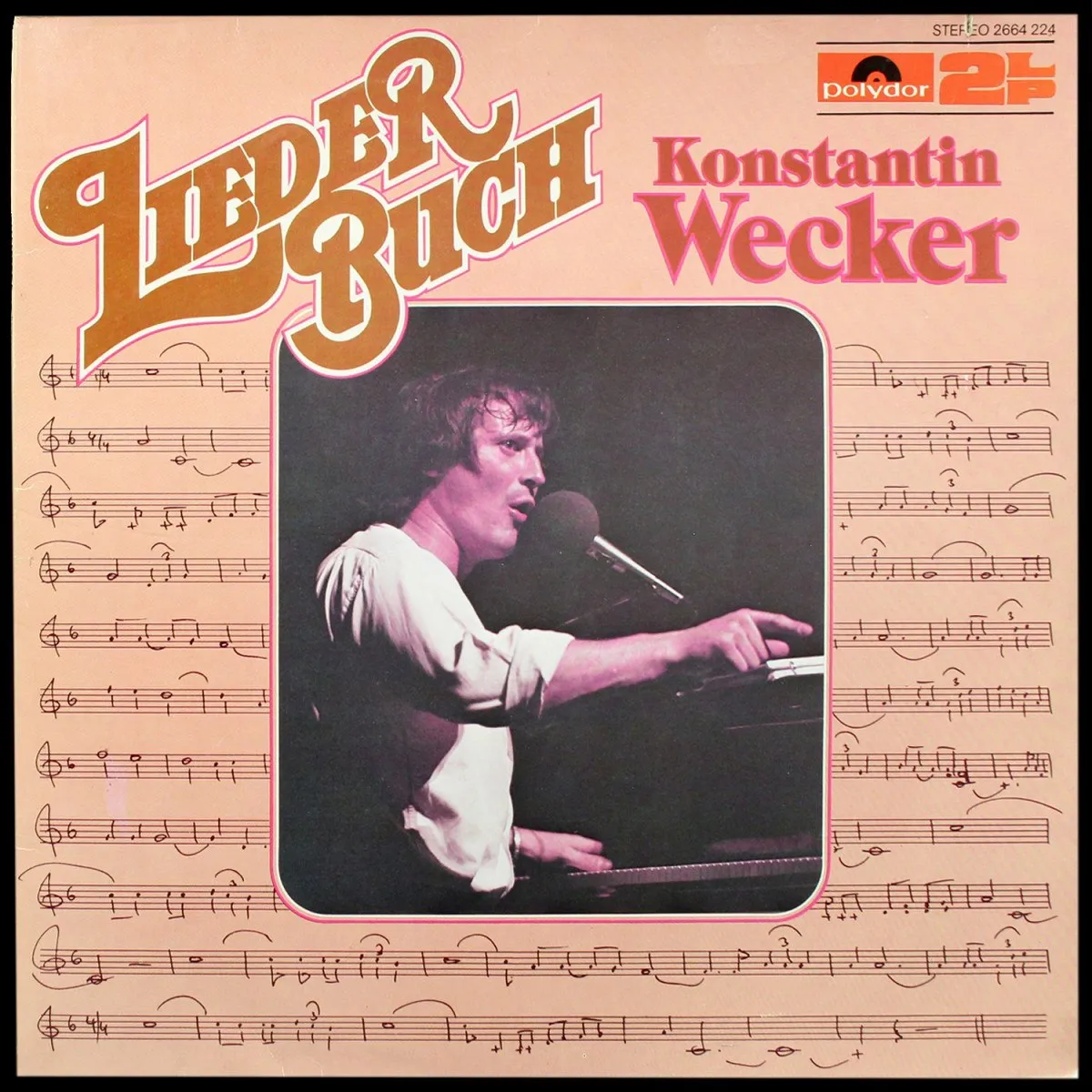 LP Konstantin Wecker — Liederbuch (2LP) фото