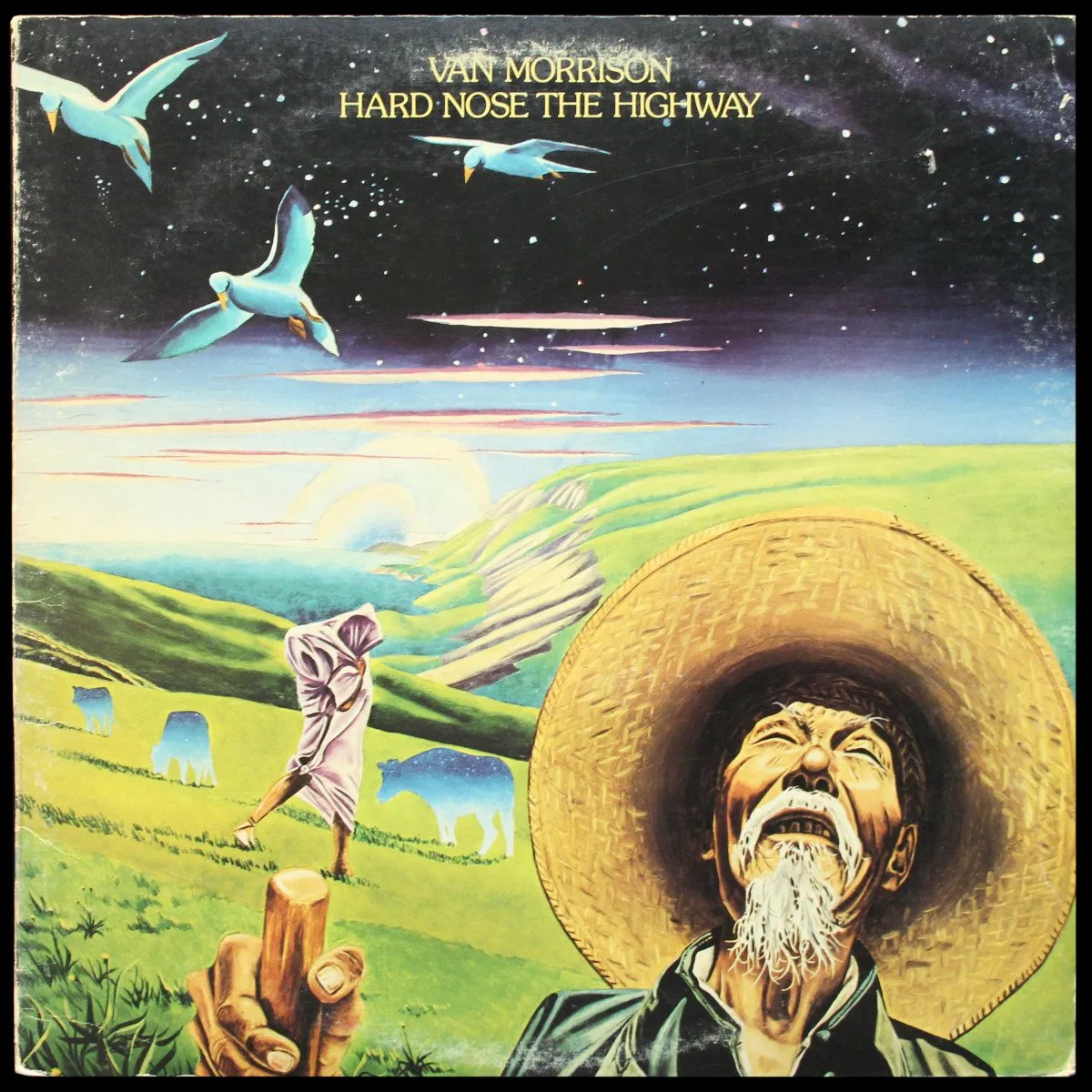 LP Van Morrison — Hard Nose The Highway фото