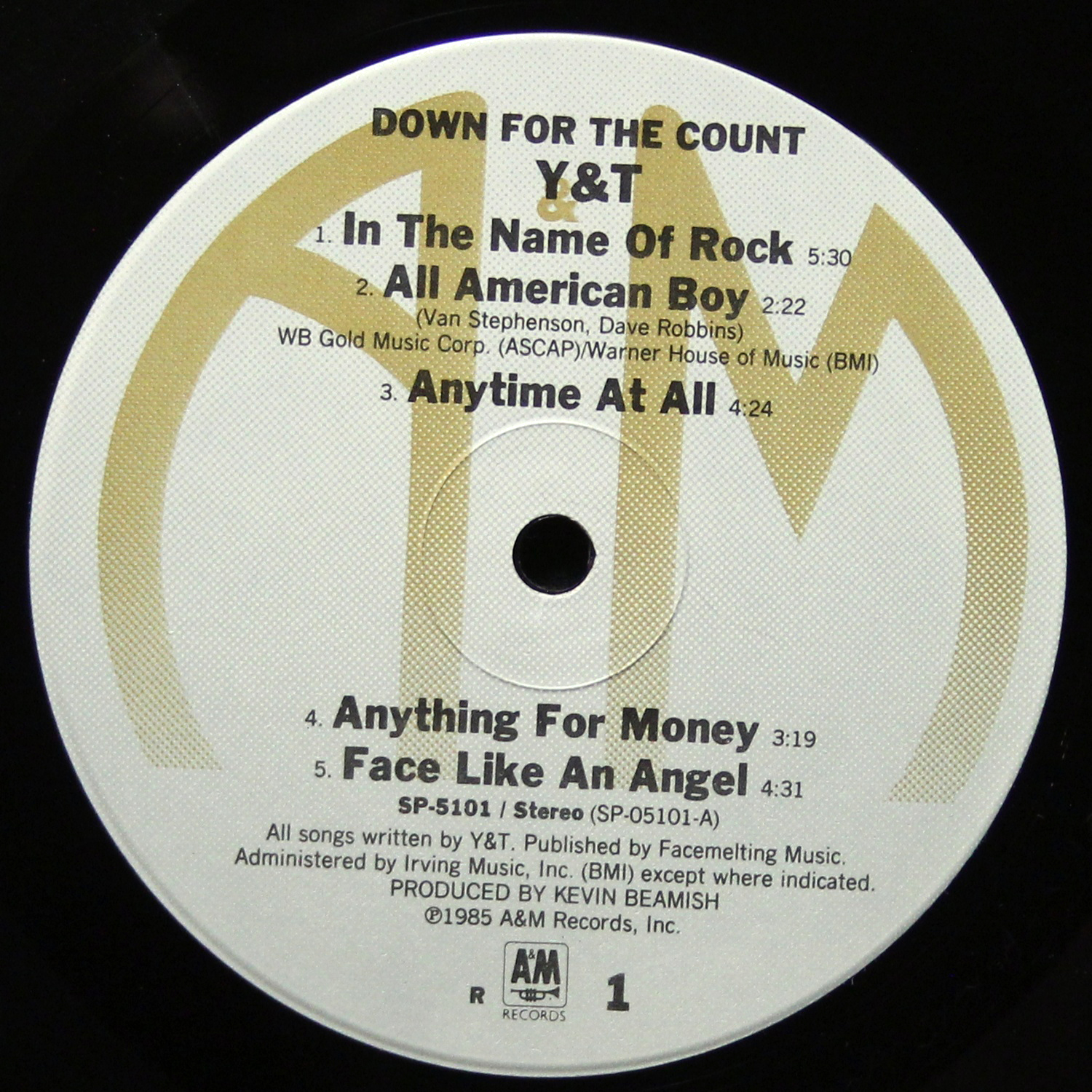 LP Y & T — Down For The Count фото 3