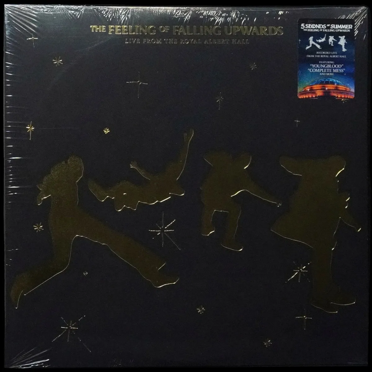 LP 5 Seconds Of Summer — Feeling Of Falling Upwards (Live From The Royal Albert Hall) (2LP,  + буклет) фото