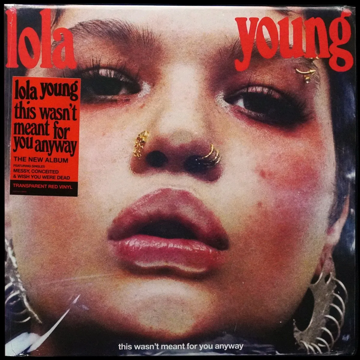 LP Lola Young — This Wasn't Meant For You Anyway фото