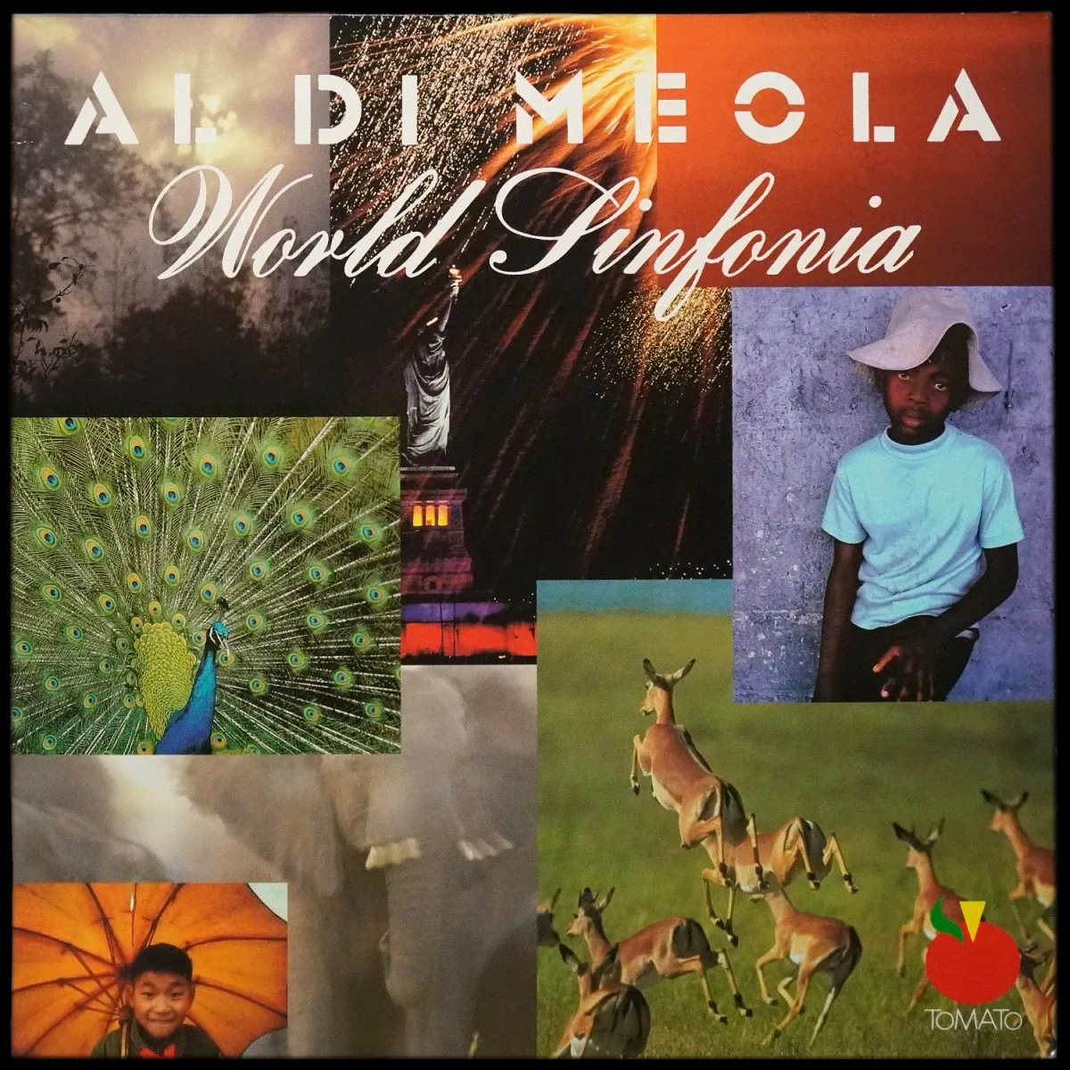 LP Al Di Meola — World Sinfonia (2LP) фото
