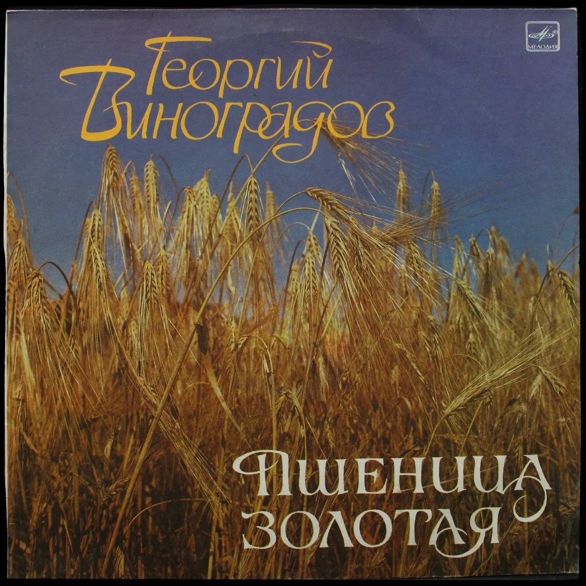 LP Георгий Виноградов — Пшеница Золотая (моно) фото