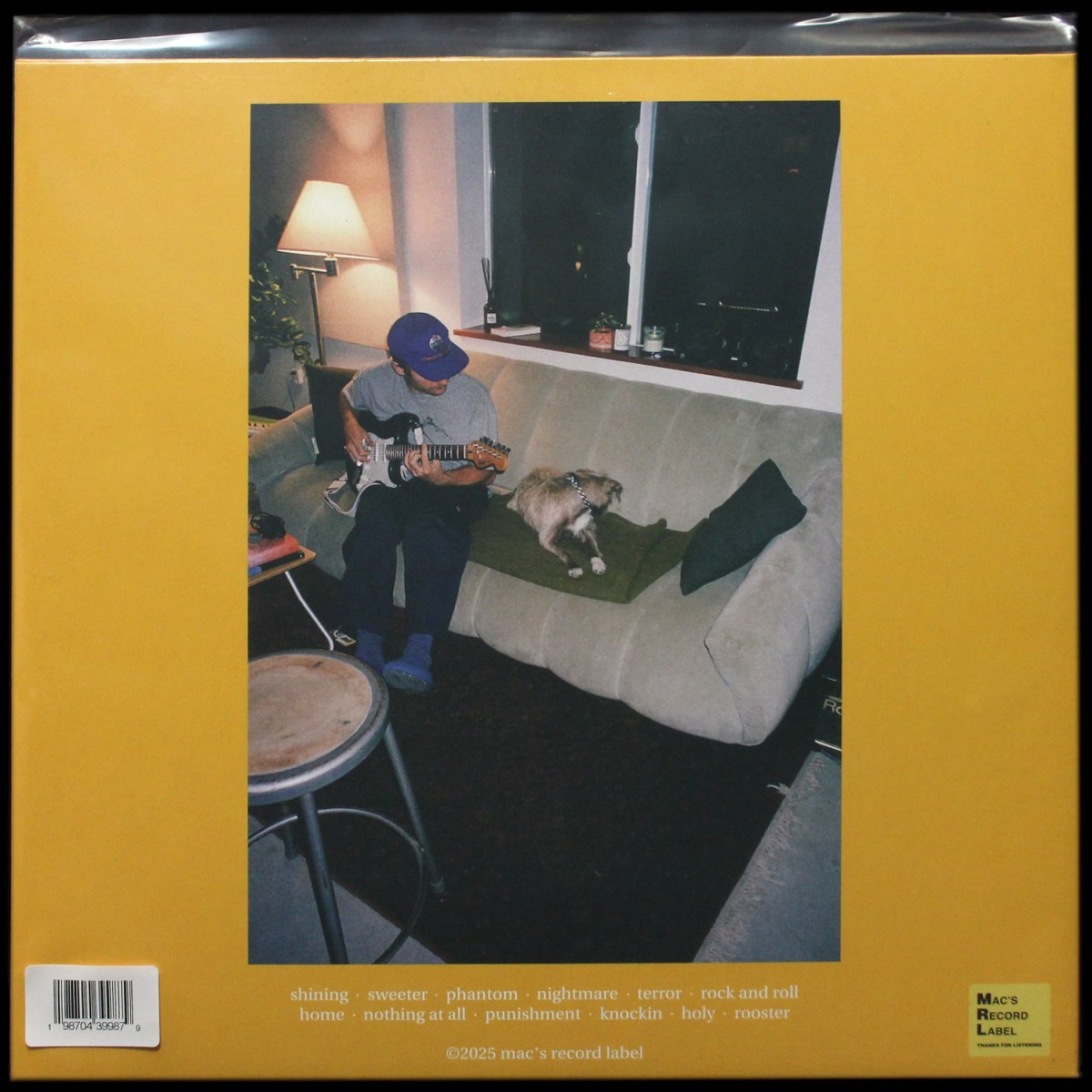 LP Mac Demarco — Guitar фото 2