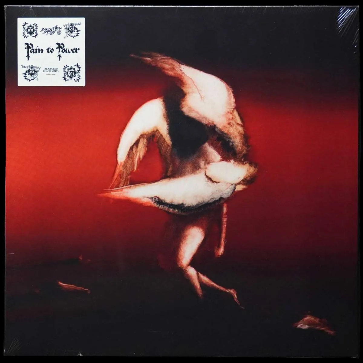 LP Maruja — Pain To Power фото