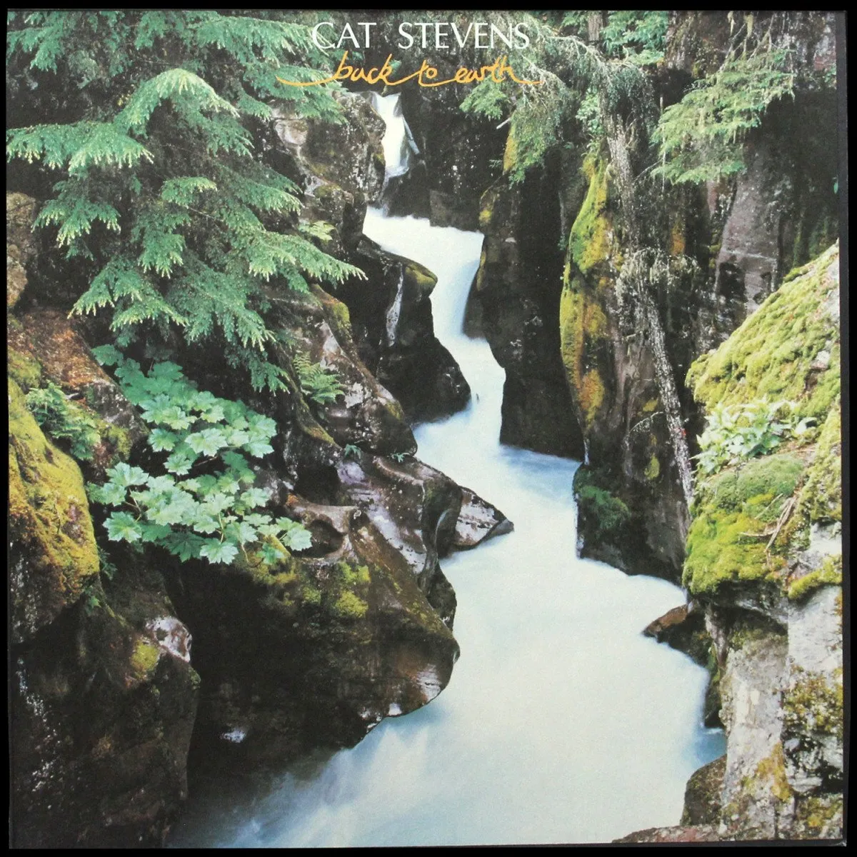 LP Cat Stevens — Back To Earth фото