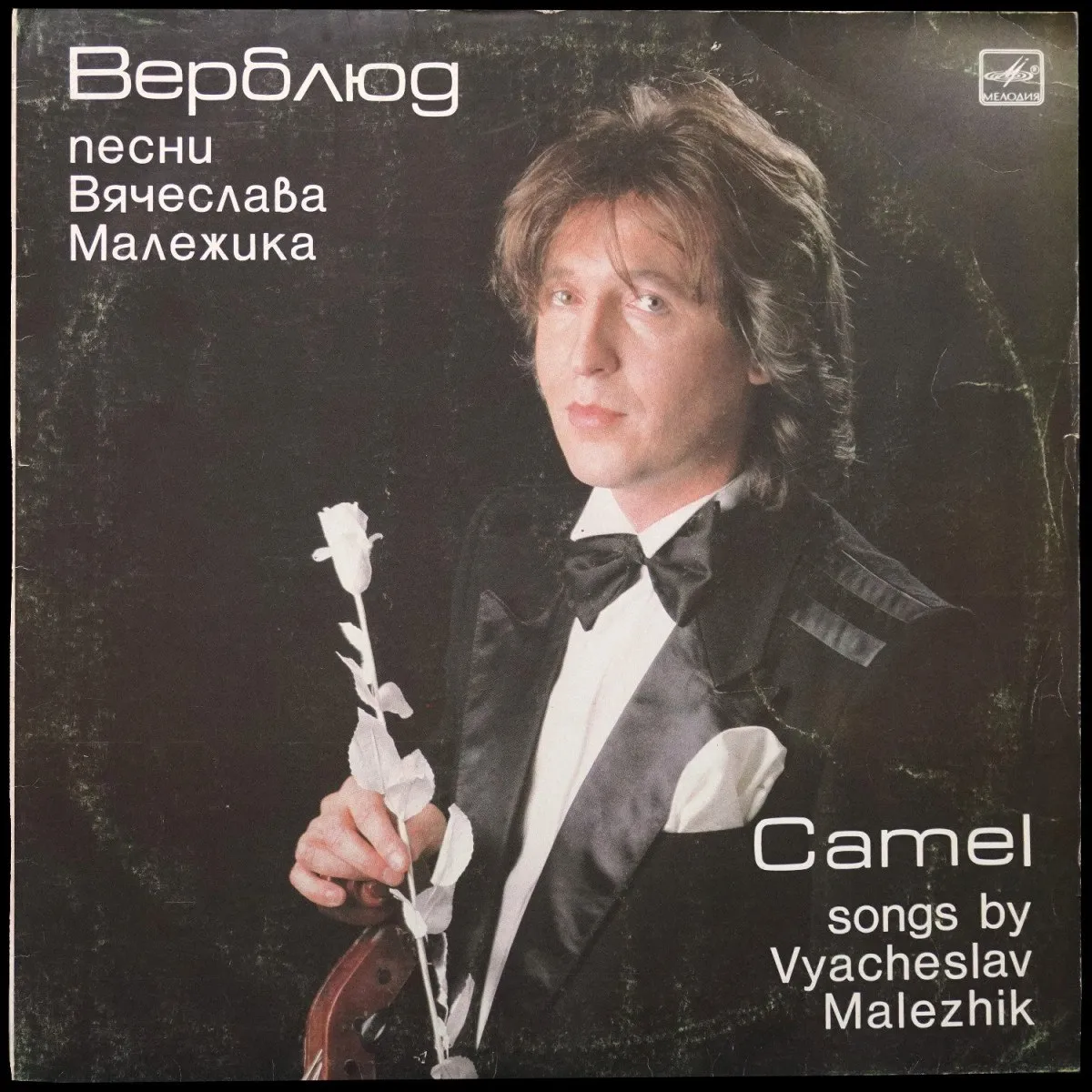 LP Вячеслав Малежик — Верблюд фото