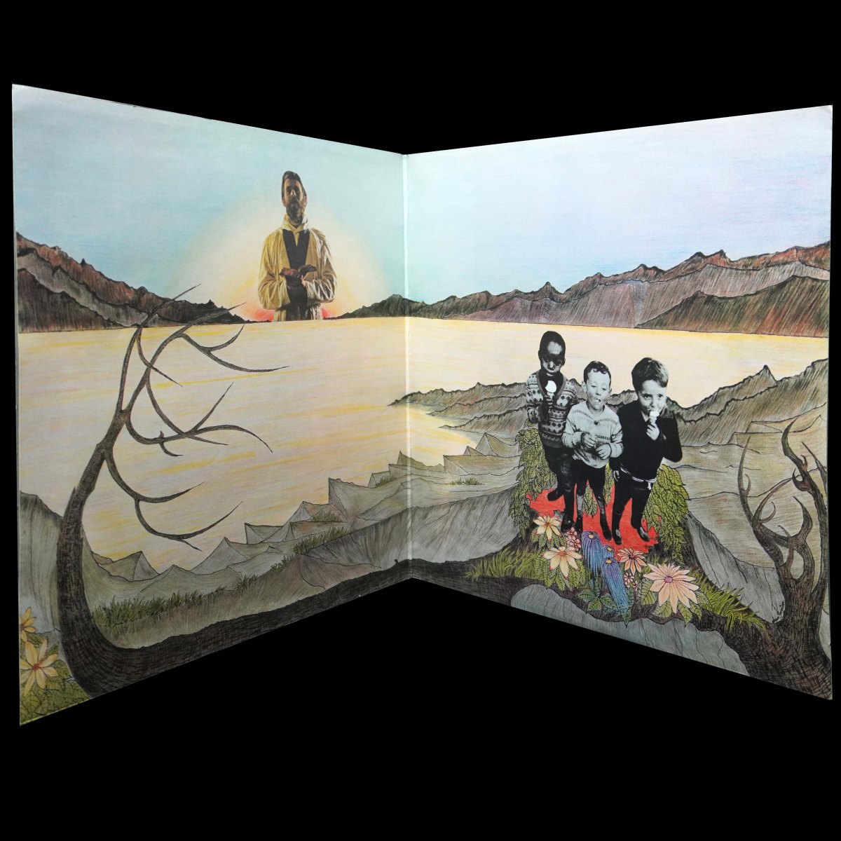 LP Edgar Broughton Band — Sing Brother Sing фото 7