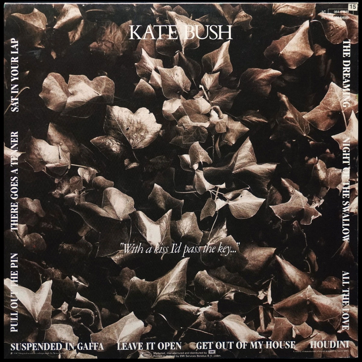 LP Kate Bush — Dreaming фото 2