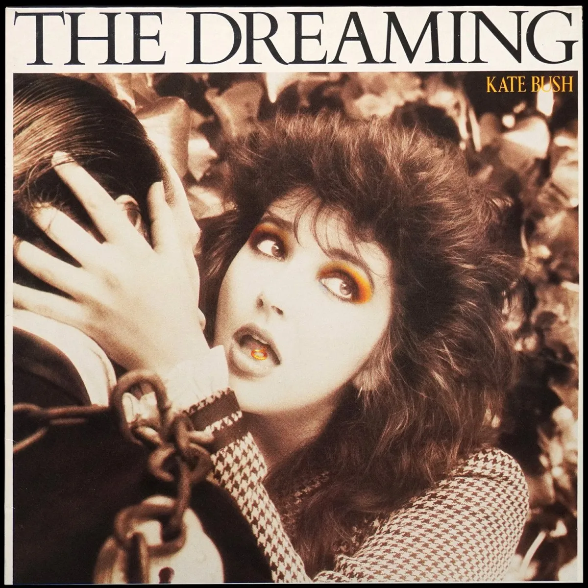 LP Kate Bush — Dreaming фото