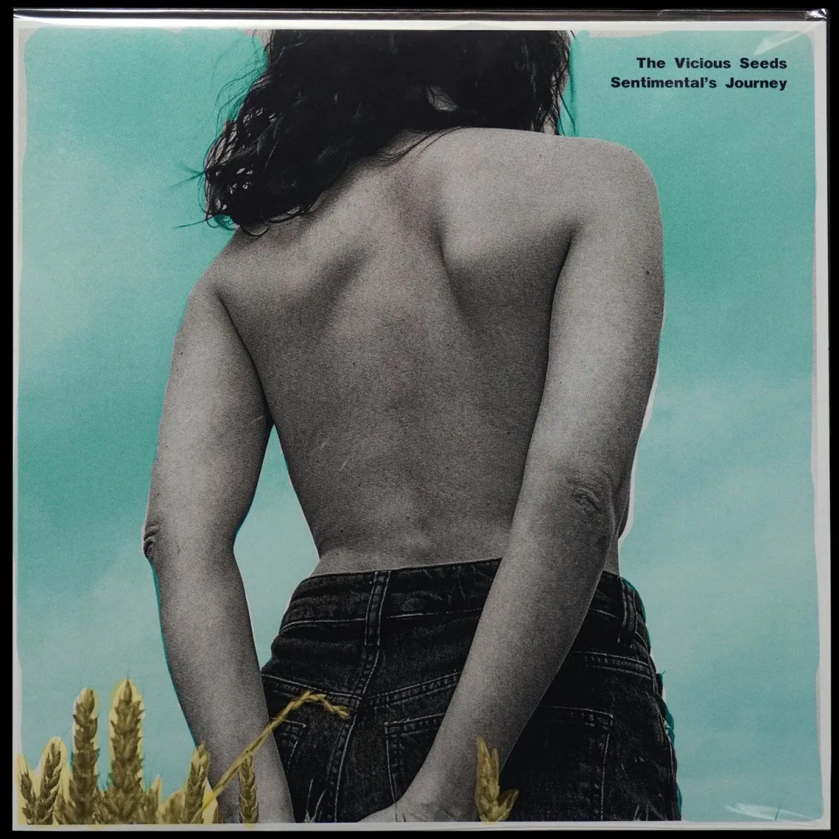 LP Vicious Seeds — Sentimental's Journey фото