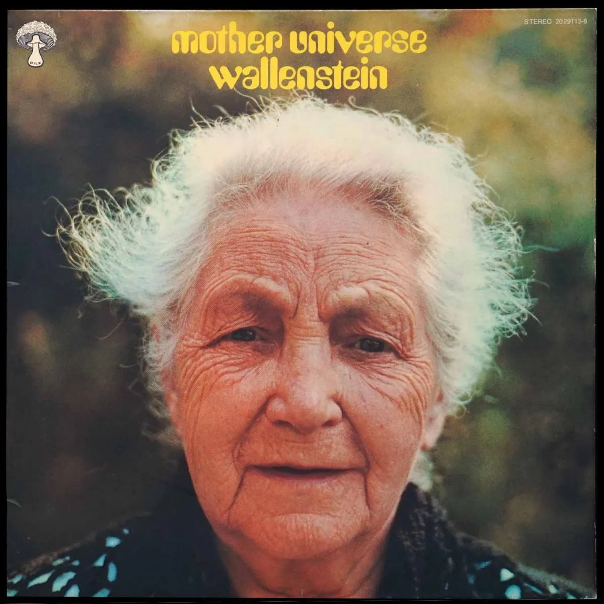 LP Wallenstein — Mother Universe фото