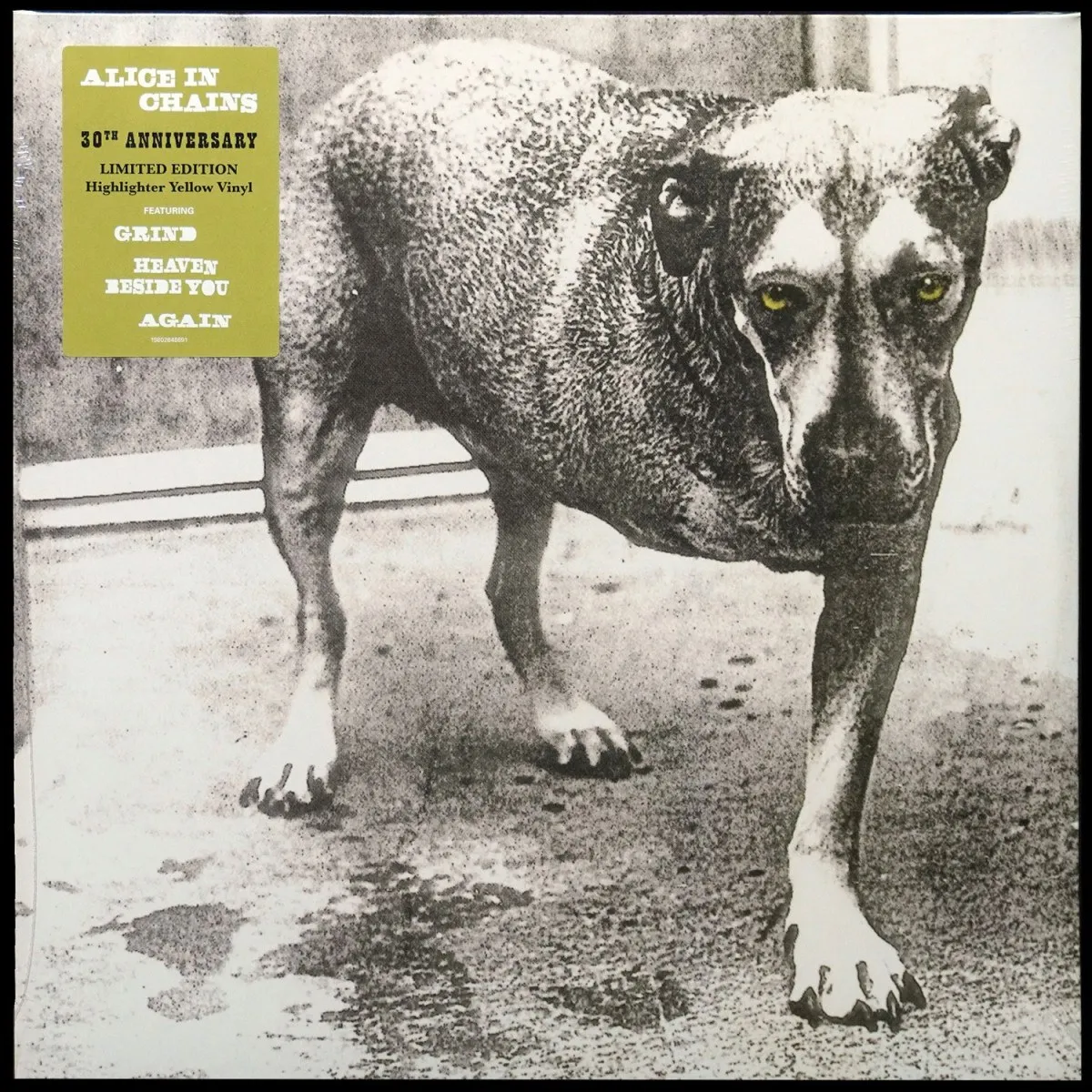 LP Alice In Chains — Alice In Chains (2LP, цветной винил) фото