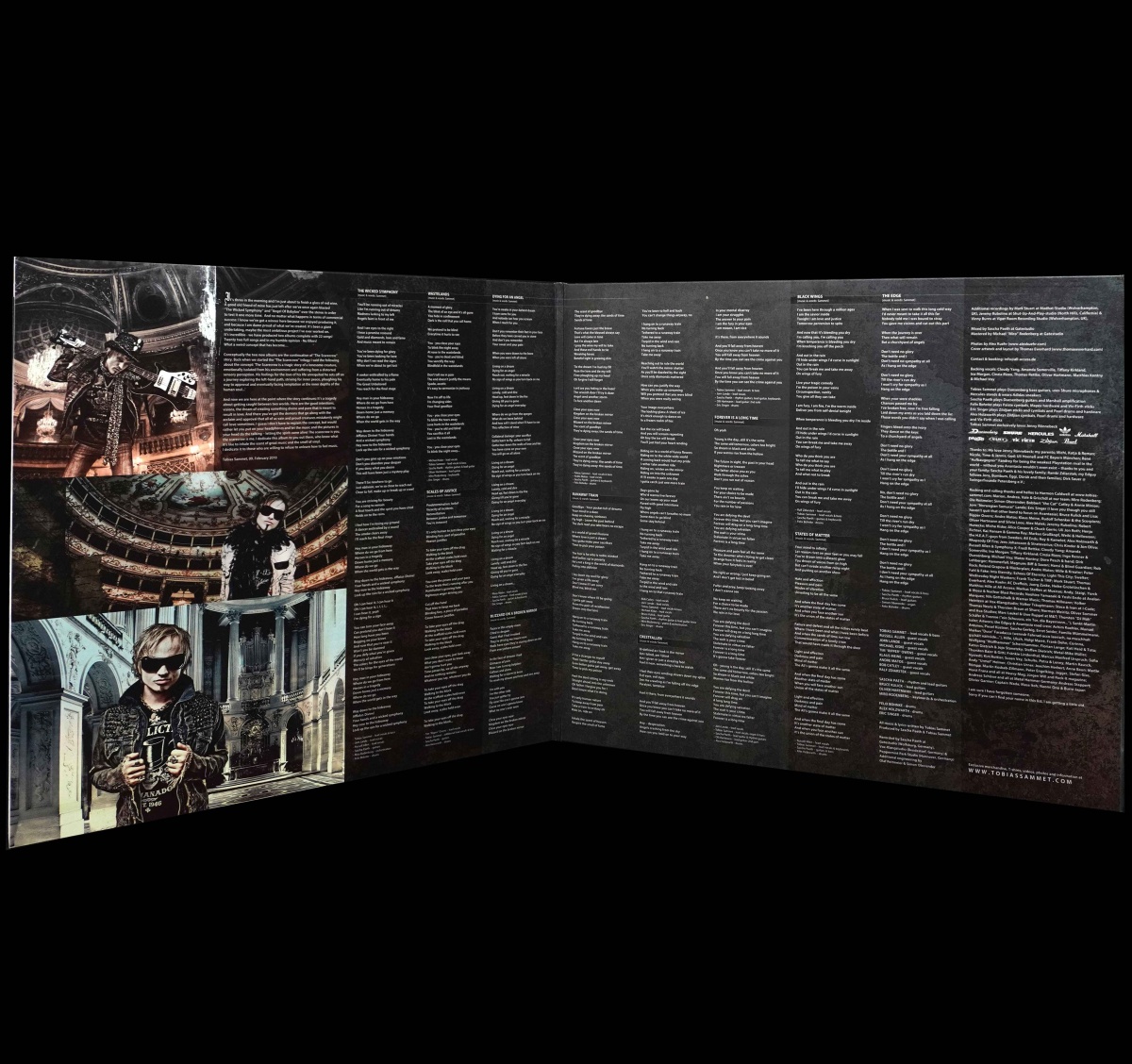 LP Tobias Sammet's Avantasia — Wicked Symphony (2LP) фото 3