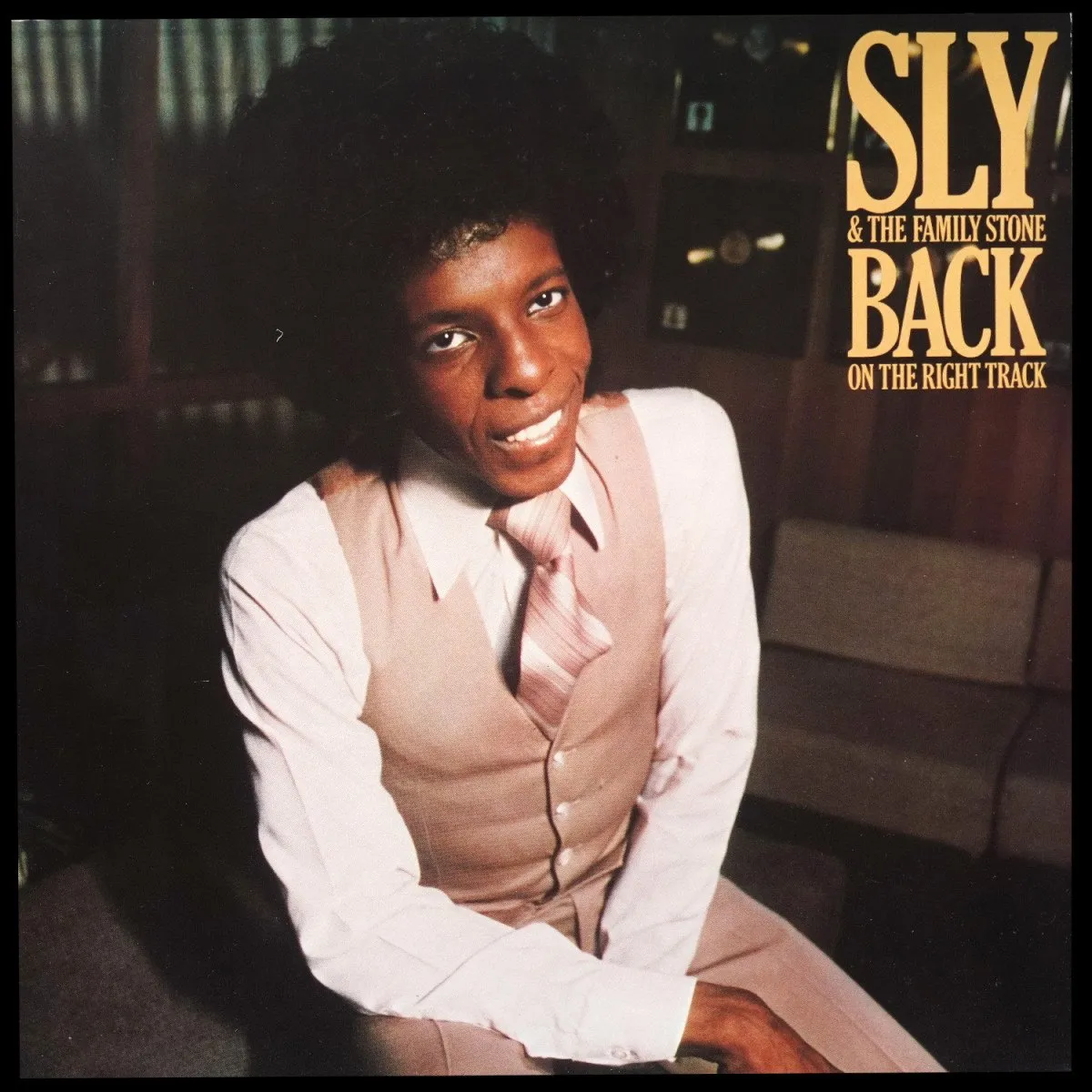 LP Sly & The Family Stone — Back On The Right Track фото