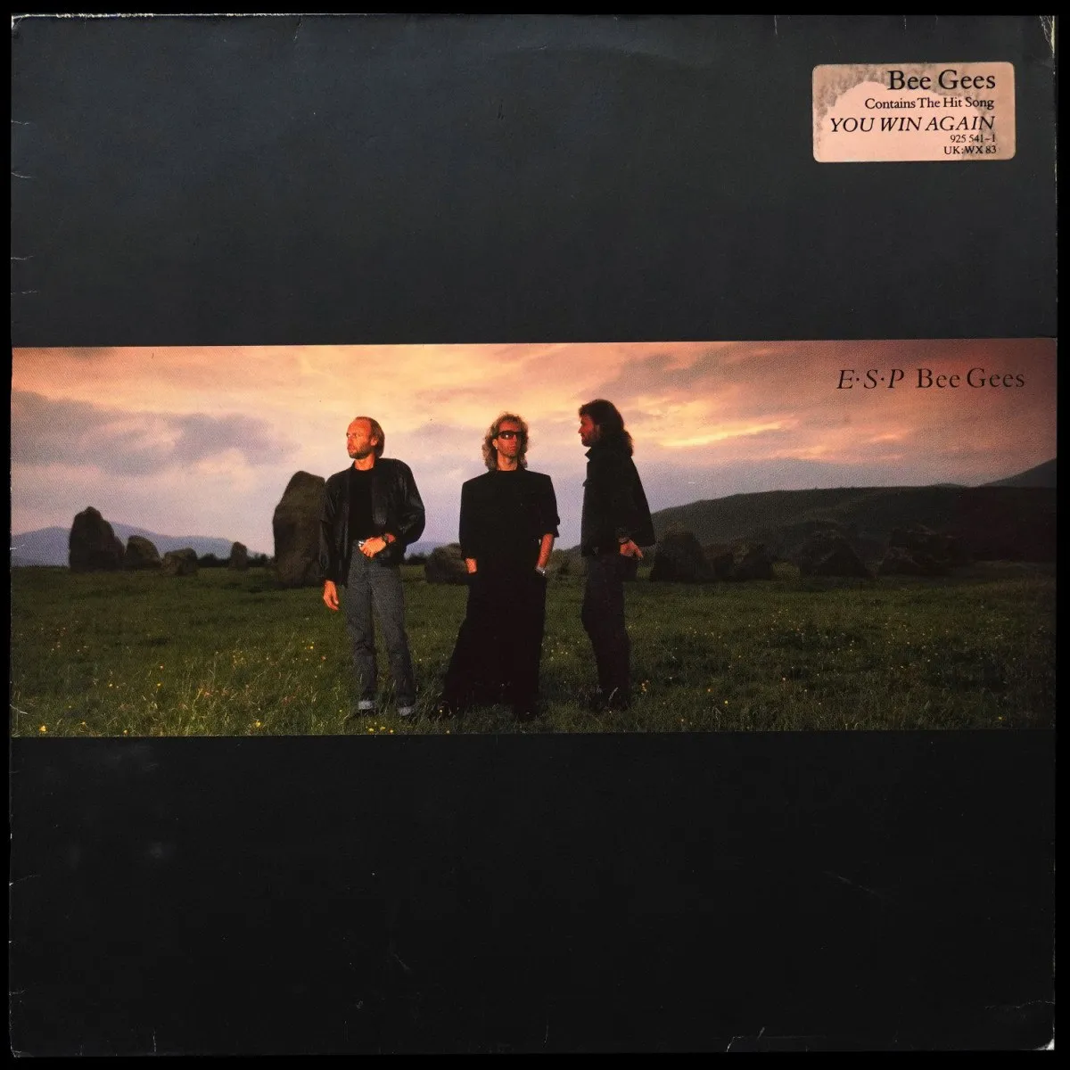 LP Bee Gees — E.S.P фото