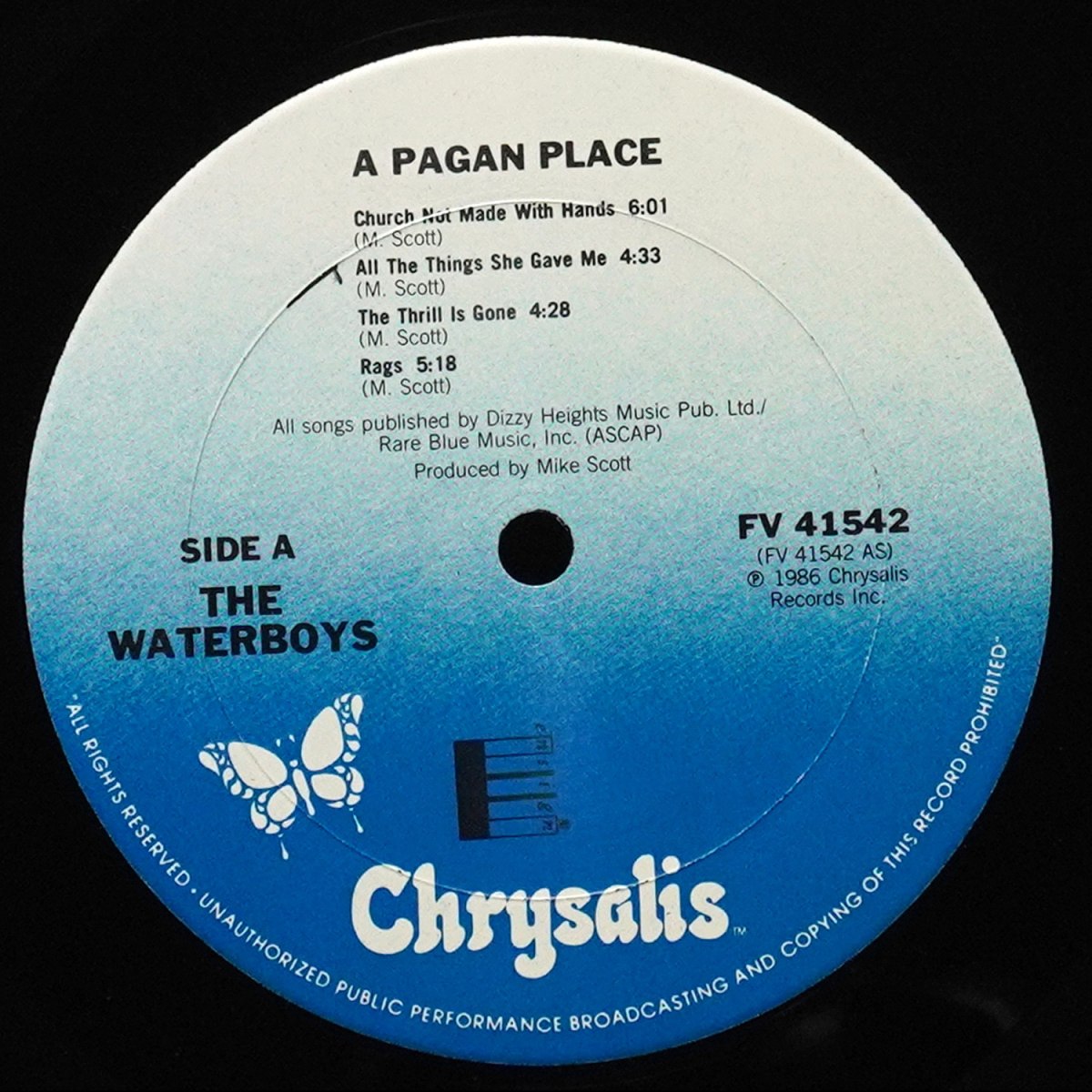 LP Waterboys — A Pagan Place фото 3