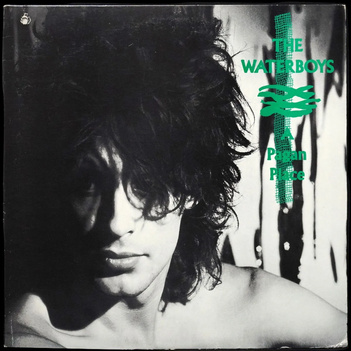 LP Waterboys — A Pagan Place фото