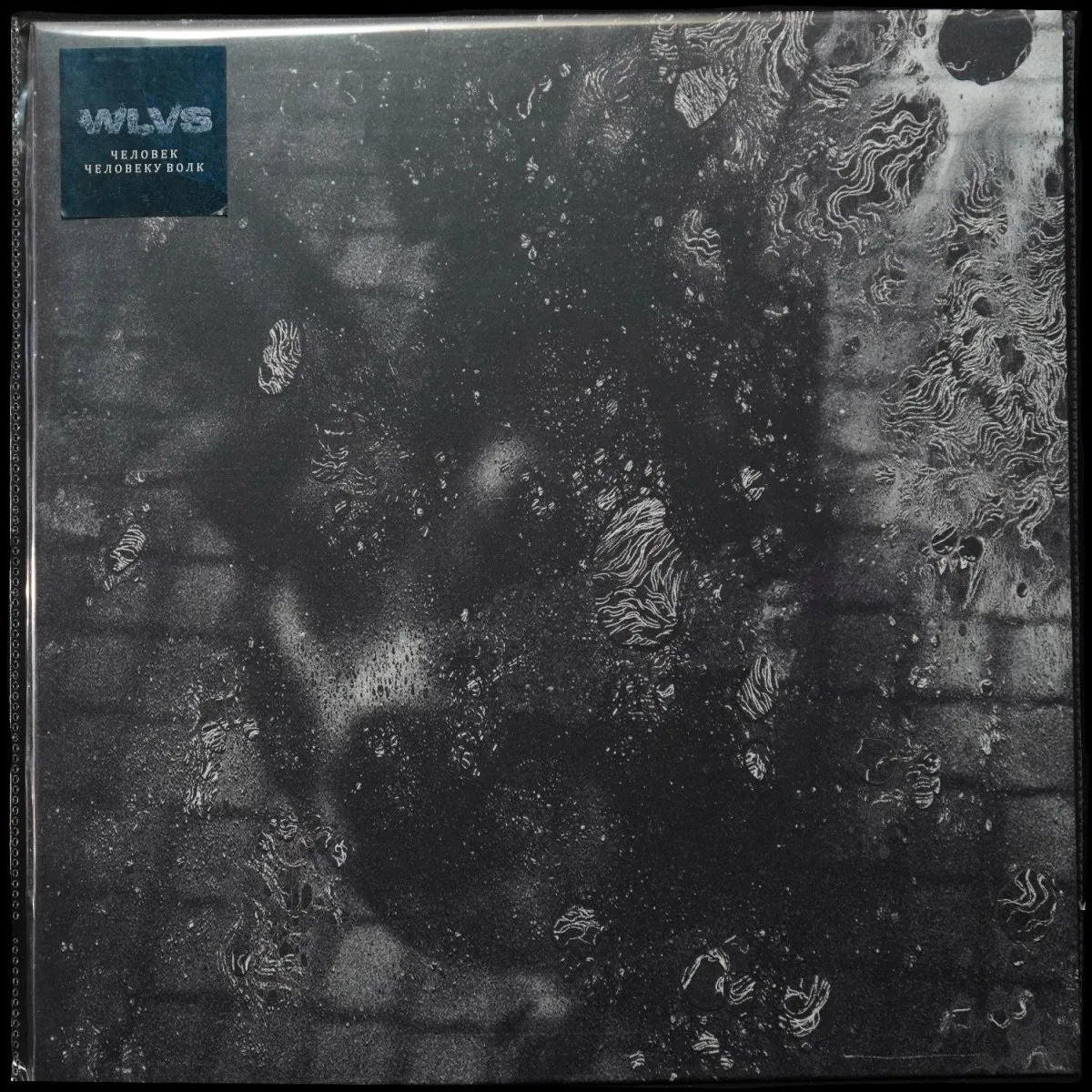 LP WLVS — Человек Человеку Волк (цветной винил) фото