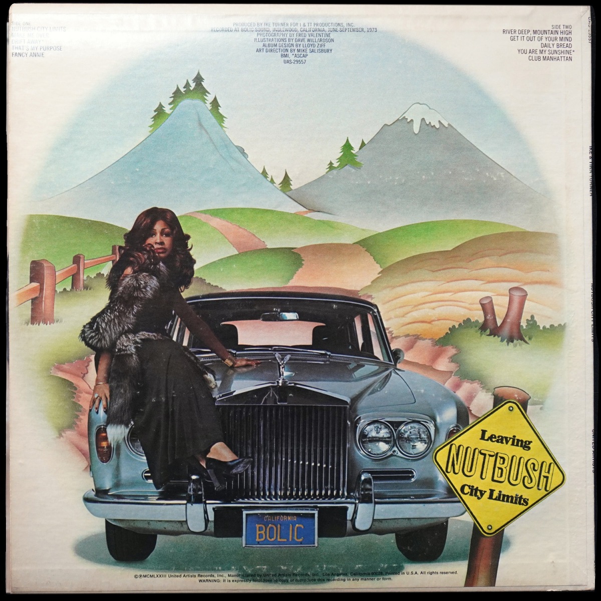 LP Ike & Tina Turner — Nutbush City Limits фото 2