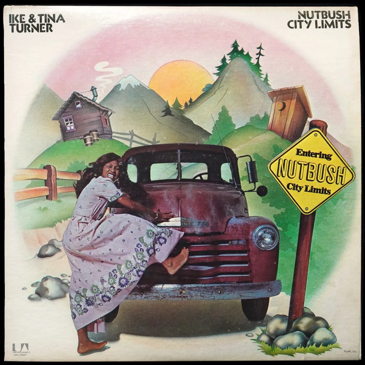 LP Ike & Tina Turner — Nutbush City Limits фото