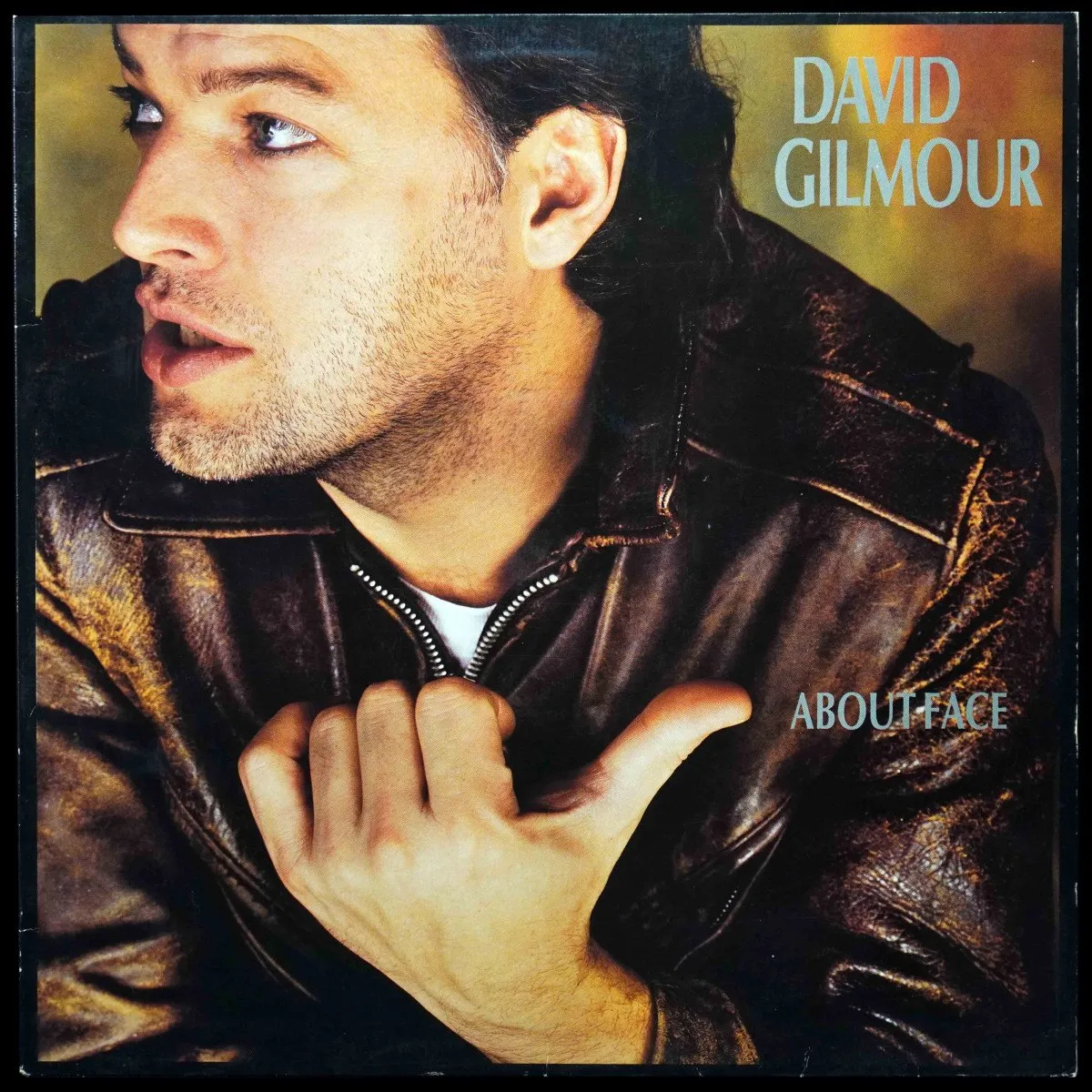LP David Gilmour — About Face фото