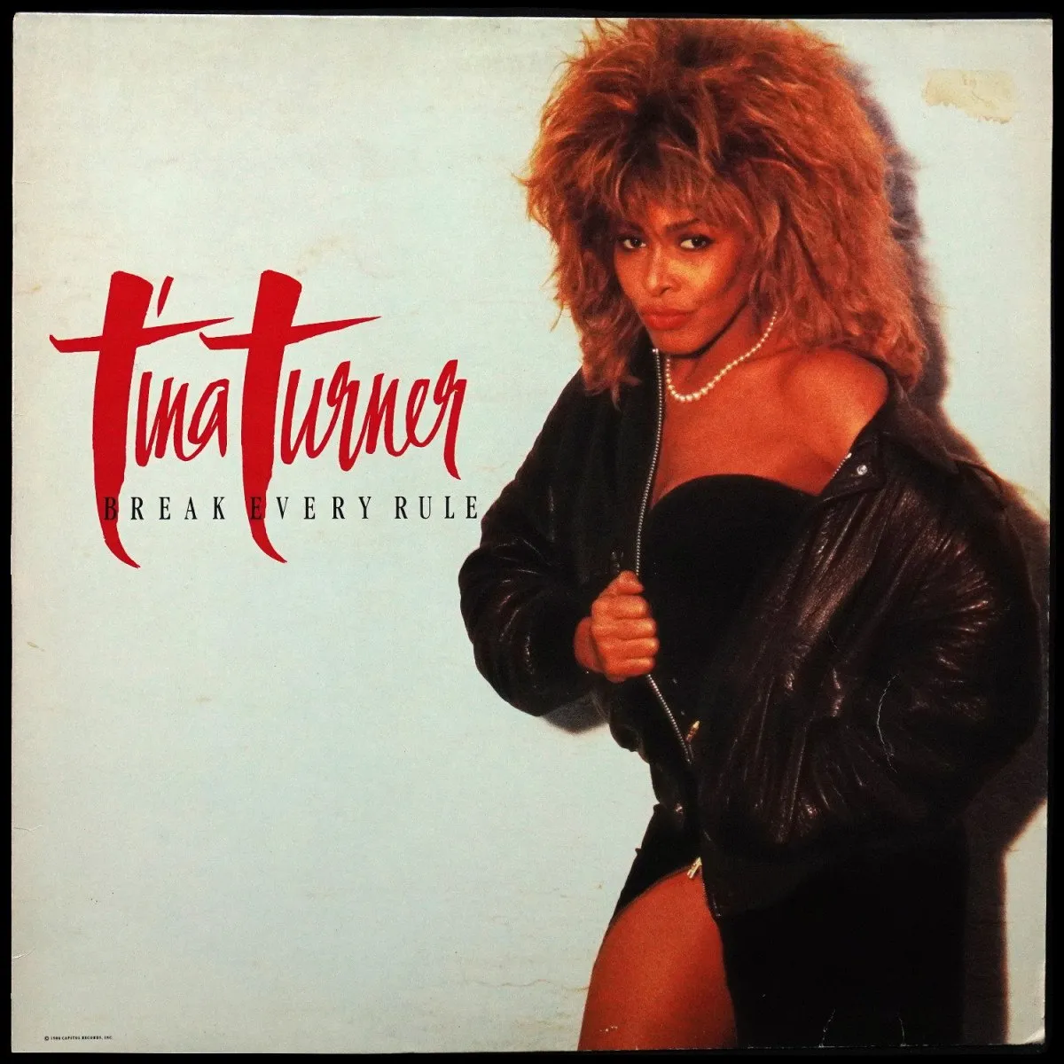 LP Tina Turner — Break Every Rule фото