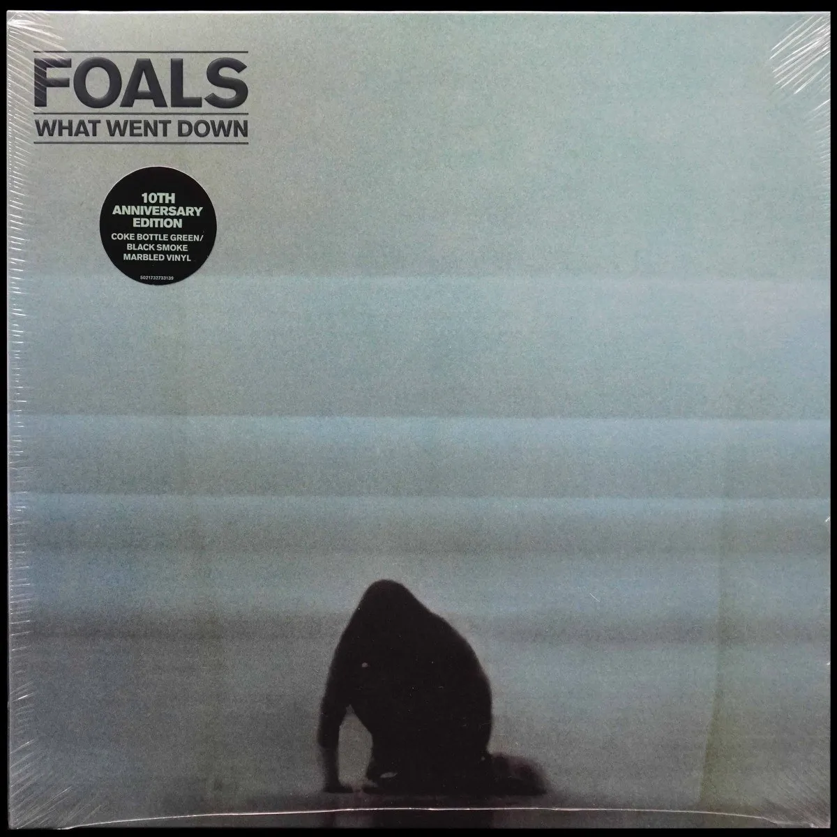 LP Foals — What Went Down (цветной винил) фото