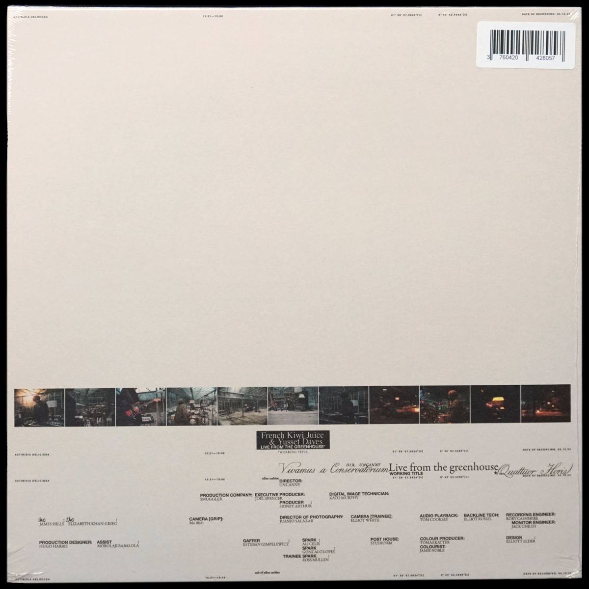 LP FKJ — Live From The Greenhouse фото 2