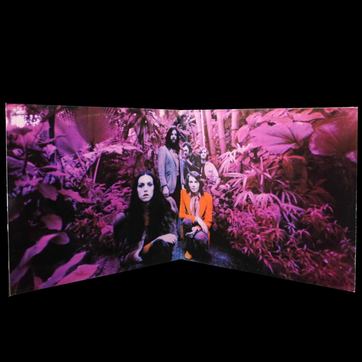 LP Amon Duul II — Carnival In Babylon фото 5