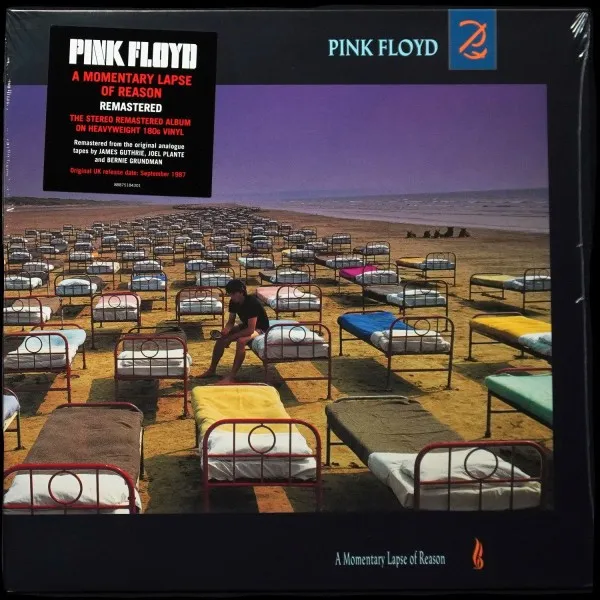 A Momentary Lapse Of Reason