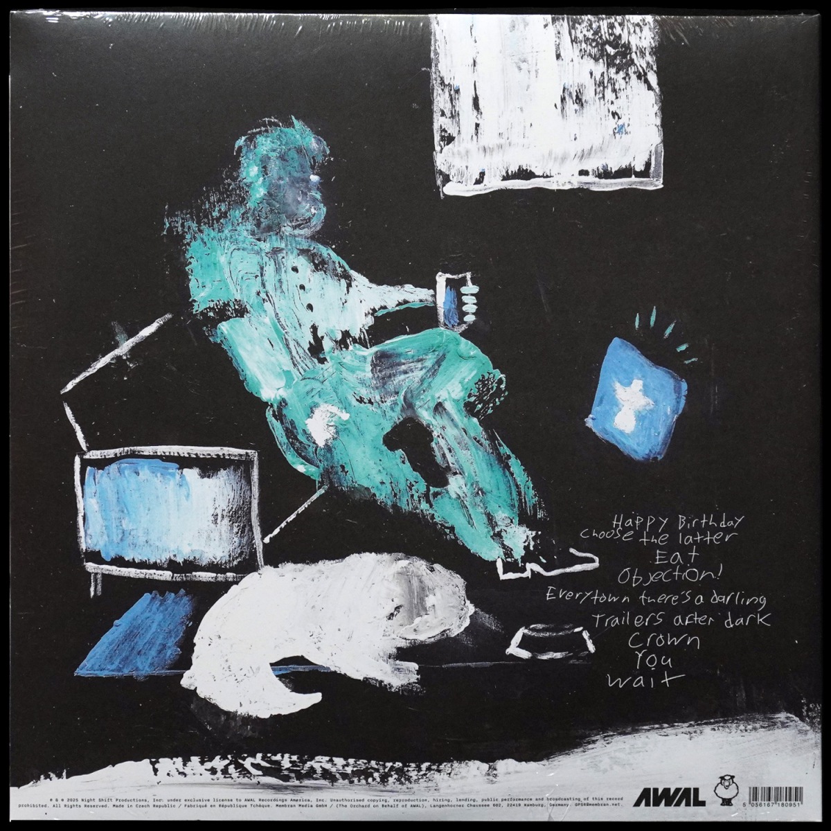 LP Finn Wolfhard — Happy Birthday фото 2