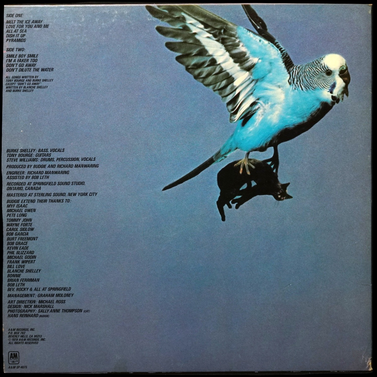 LP Budgie — Impeckable фото 2