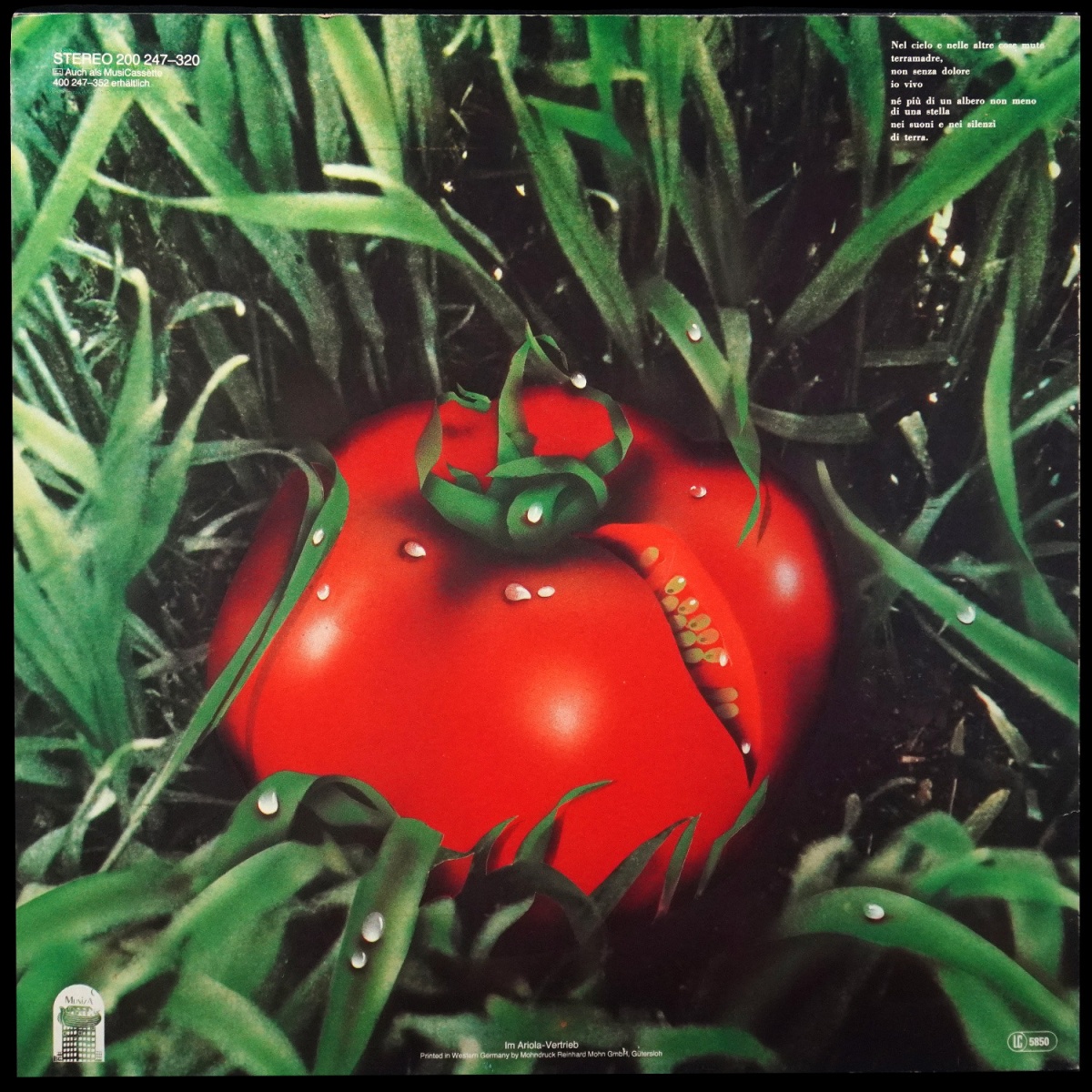 LP Banco Del Mutuo Soccorso — Di Terra фото 2