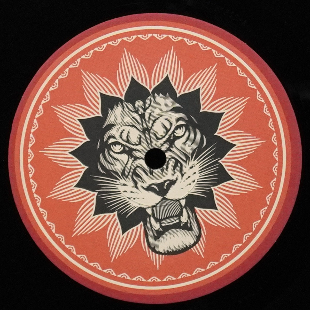 LP SuperHeavy — SuperHeavy фото 5