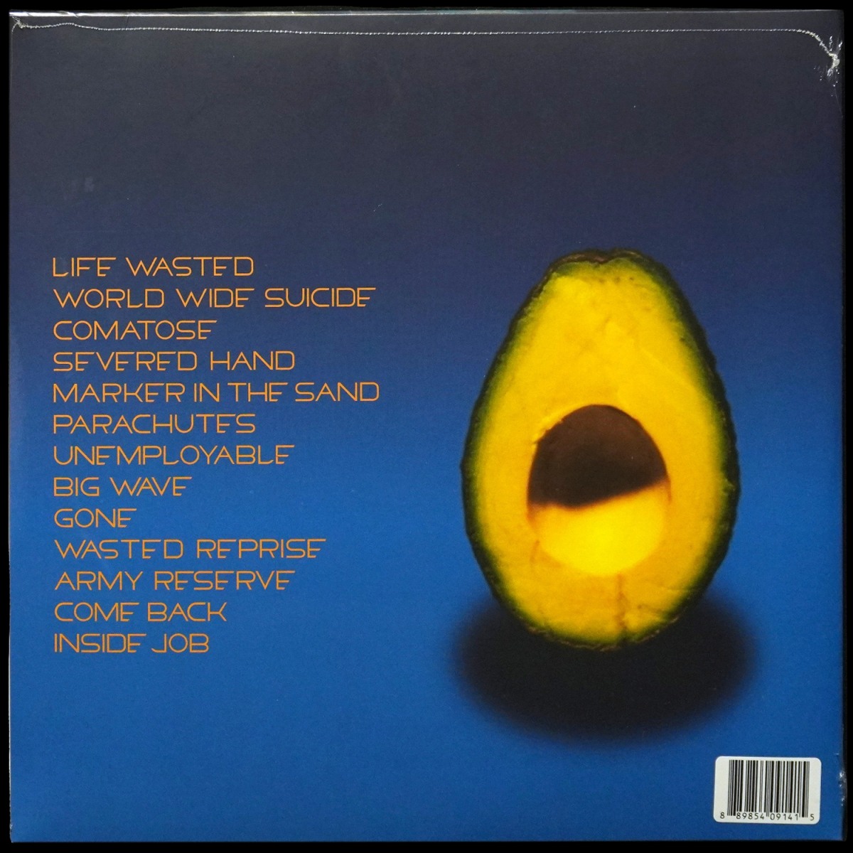 LP Pearl Jam — Pearl Jam (2LP, + буклет) фото 2