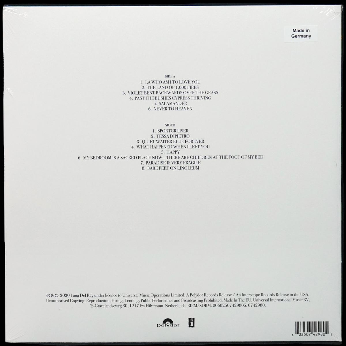 LP Lana Del Rey — Violet Bent Backwards Over The Grass фото 2