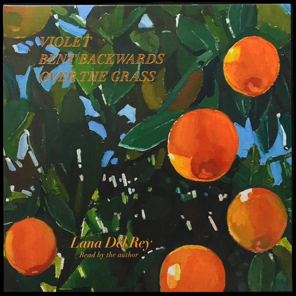 LP Lana Del Rey — Violet Bent Backwards Over The Grass фото